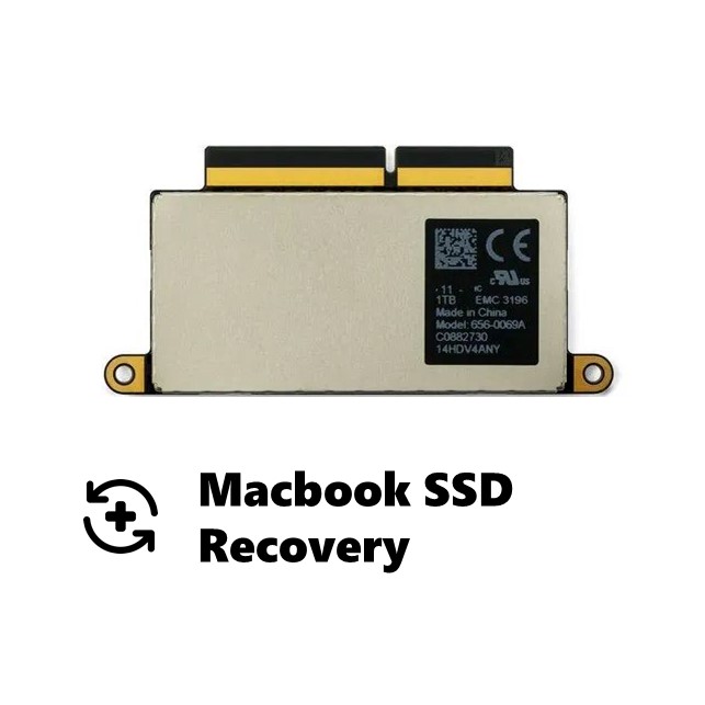 Data Recovery Macbook SSD 250 GB -256 GB